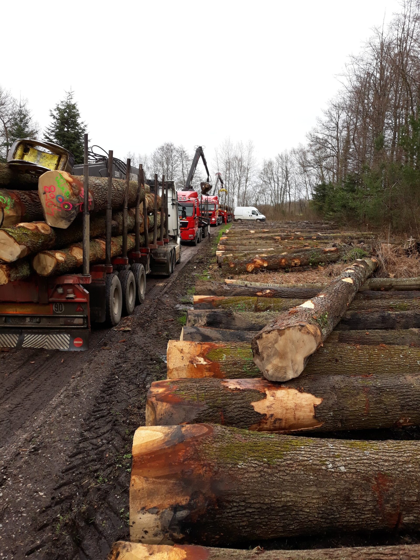 20180409_153117-e1582620319338